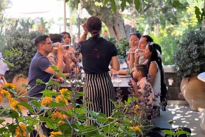 3 Wineries wine tasting & Greek Meal -Food and Wine pairing - Who should book this Santorini wine tour?