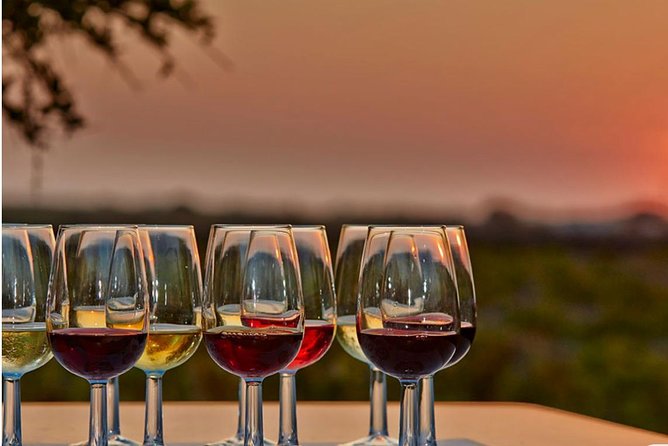 4.5 Hours Through the Grapevine Private Wine Tour - Key points to know before you book