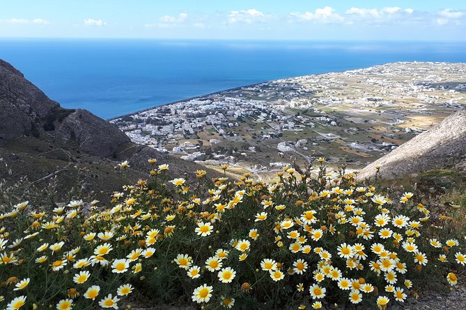 Amazing sightseeing in Santorini 2022 - Four Santorini experiences in only three hours