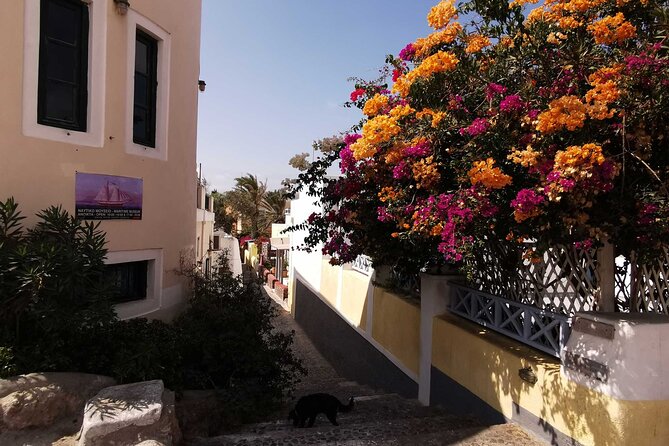 Authentic Santorini: A Self-Guided Audio Tour of Oia - Cave houses and the history beneath Oia’s white walls