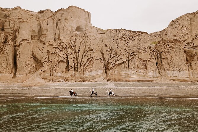 Beach Gallop - Horse Riding Safari for Experienced Riders - Key points to know before you book