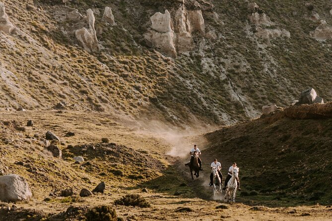 Beach Gallop - Horse Riding Safari for Experienced Riders - From Megalochori vineyards to Eros Beach
