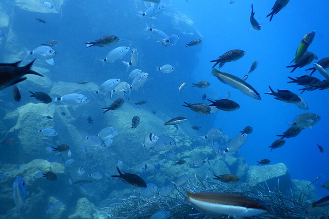 Discover Scuba Diving in Santorini - Why a six-person limit helps beginners