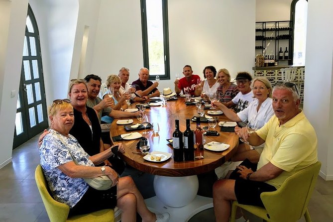 Experience Like a Local Santorini Food and Wine Tasting - Anhydrous Winery and a second point of view