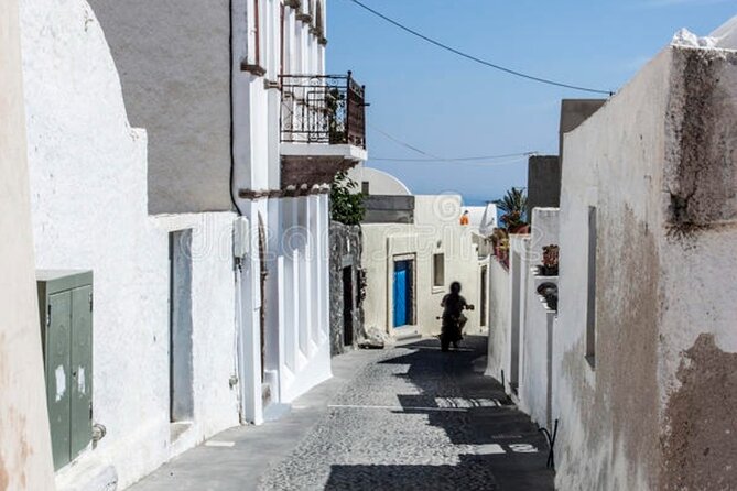Full Day Shore Excursion Tour - The guide’s role: local commentary, not archaeological escorting