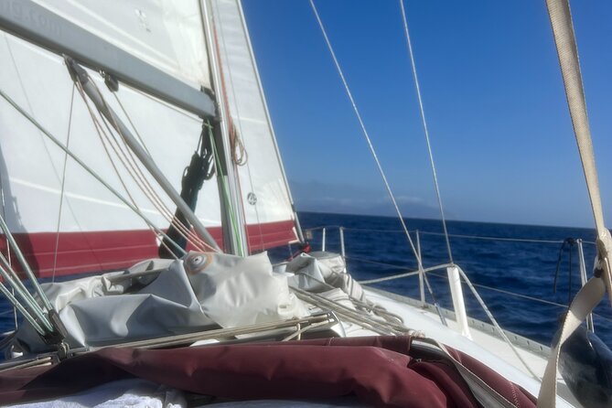 Half day Private Sailing cruise in Santorini island up to 6 pax - Maria, Thanos, and the tone onboard