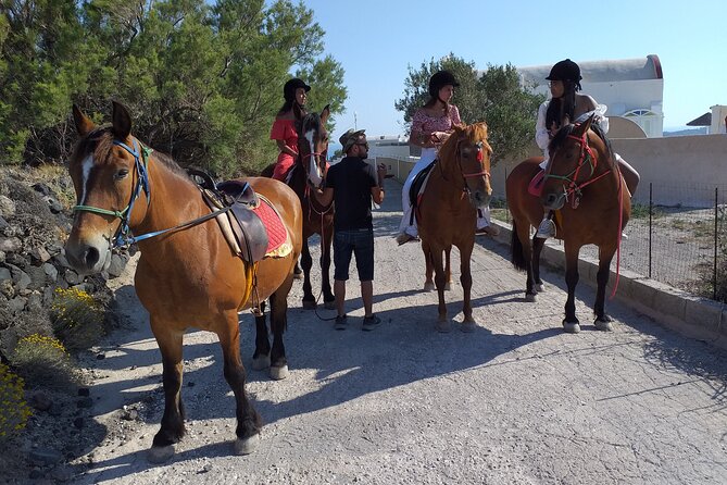 Horse Riding: Explore Secret Thera - How long is one hour in practice?