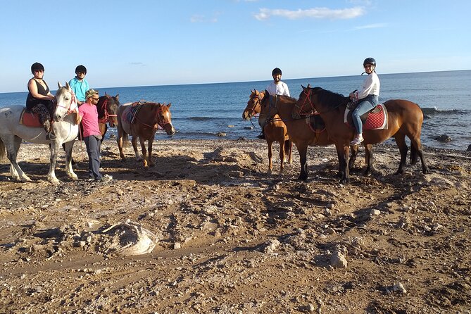 Horse Riding: Explore Secret Thera - Is $72.56 good value?