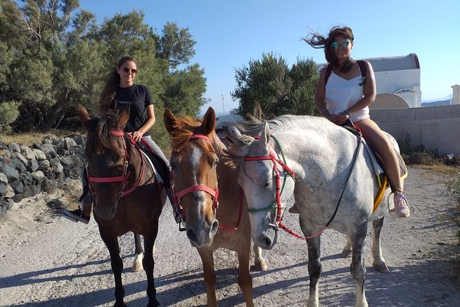 Horse Riding: Explore Secret Thera - Who should book this ride?