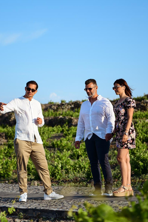 Imerovigli: Premium Wine Tasting with Caldera and Sea Views - Who will get the most from this experience