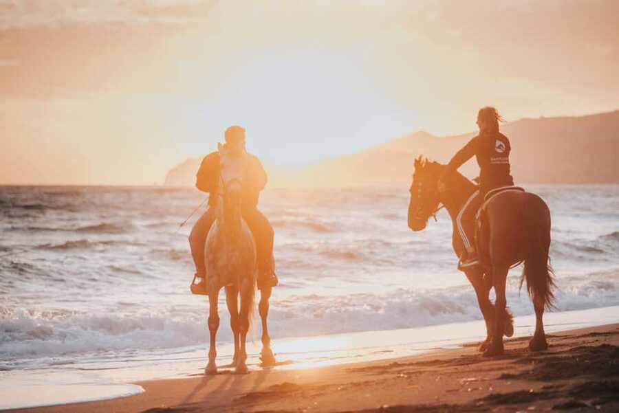 Megalochori: Horseback Riding Tour for Experienced Riders - Through vineyards on the way to Eros Beach