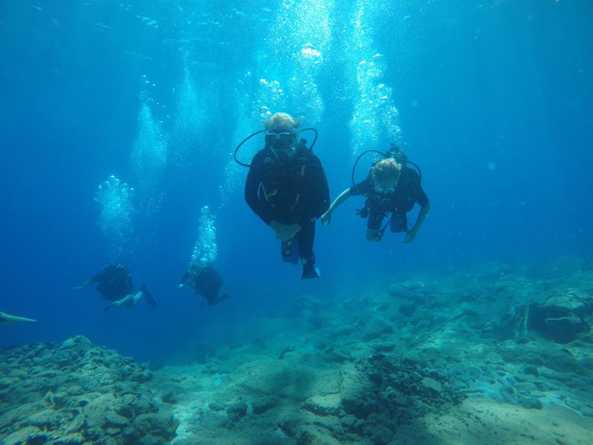 Oia: 2 Guided Scuba Dives off Santorini for Certified Divers - The volcanic world beneath Santorini