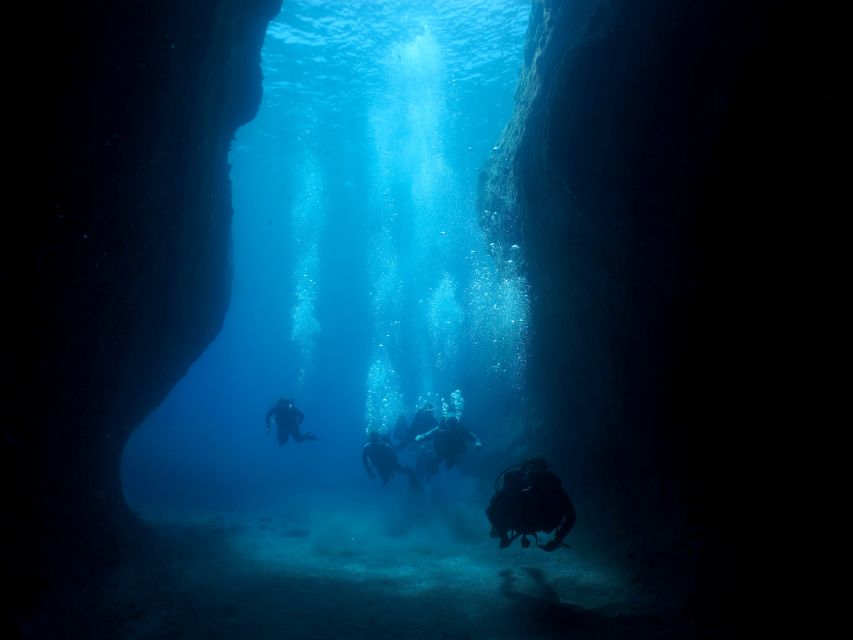 Oia: 2 Guided Scuba Dives off Santorini for Certified Divers - What the marine life may, and may not, offer