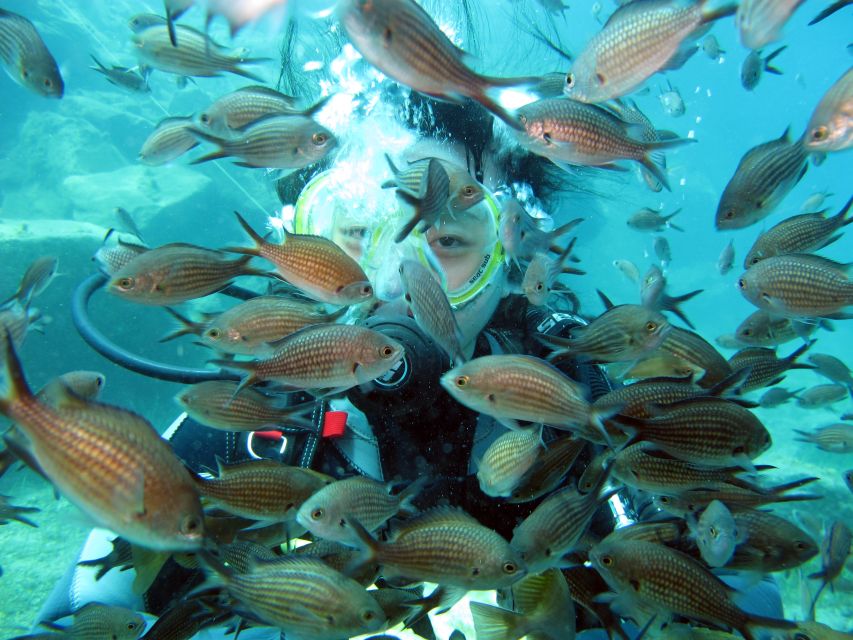 Oia: 2 Guided Scuba Dives off Santorini for Certified Divers - Is $158 a fair price?