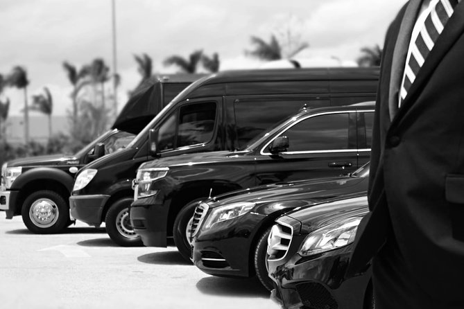 Private Arrival Transfer From Santorini Port To All Destinations - A good fit for couples, families, and late arrivals