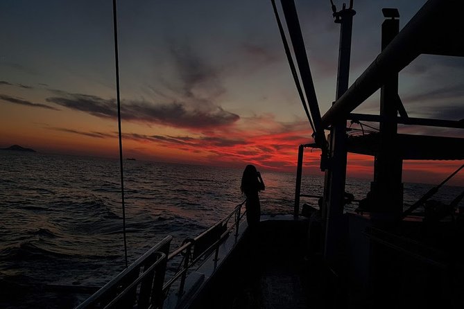 Private Fishing Tour - Sunset (transportation included) - Swimming and snorkeling in the Aegean