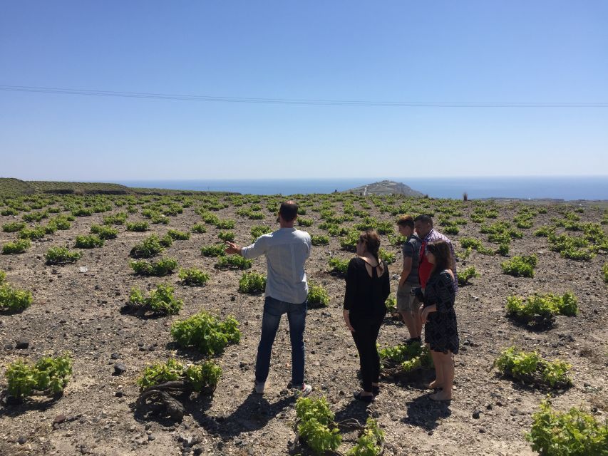 Private Group Visit to Akrotiri & 3 Wineries with Tastings - Guides who shape the day