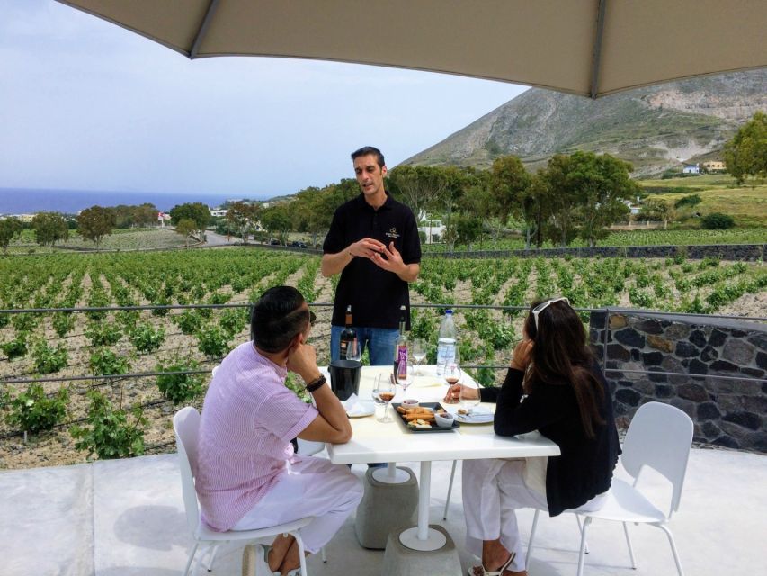 Private Group Visit to Akrotiri & 3 Wineries with Tastings - Is $294 per person good value?