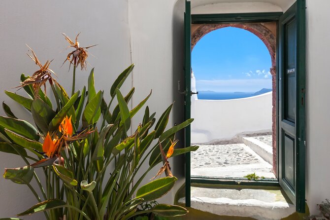 Private Half day - Best of Santorini and Wine Tasting tour - What the private vehicle and guide add
