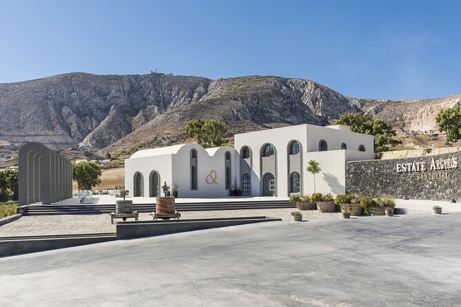 Private Half Day Tour with Wine Tasting in Santorini - The guide and the private feel