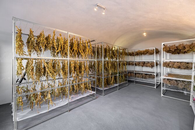Private Olive Oil tasting & Liqueur experience - Entering the cave used for drying herbs