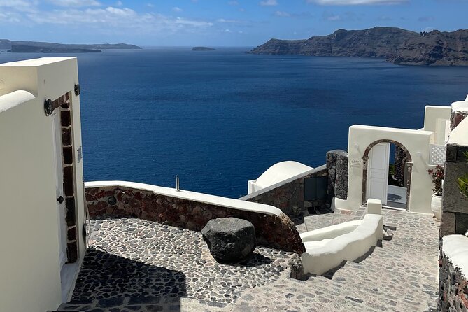 Private Santorini Daytime Wine Tour - Hatzidakis Winery and organic vineyard work