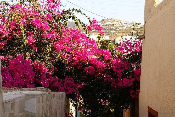 Private Santorini Highlights Tour with Easy and Flat Walks - Oia, with time to enjoy the famous streets