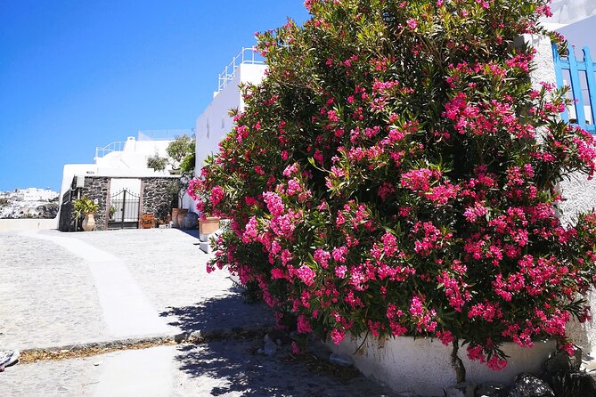 Private Santorini Highlights Tour with Easy and Flat Walks - Mesaria, where the island feels more local
