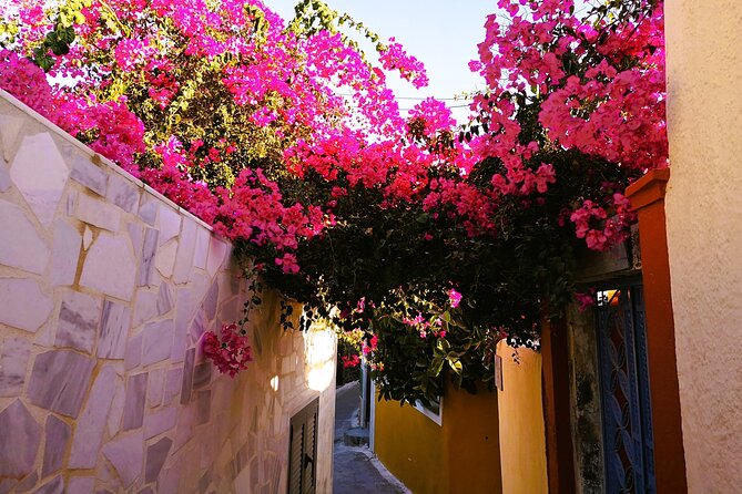 Private Santorini Highlights Tour with Easy and Flat Walks - Who should book this Santorini tour?