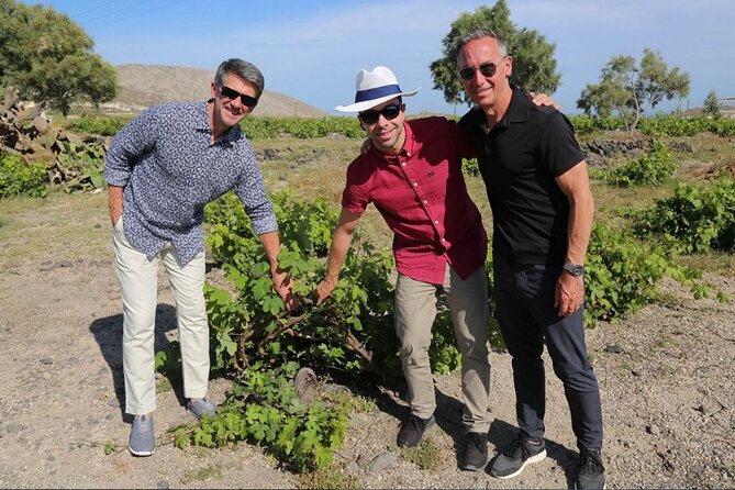 Private Santorini Sunset Wine Tour with Tastings and Tapas - Local food makes the tasting more useful