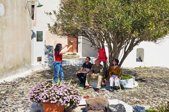 Private Santorini Villages Morning Walking Tour inc. tastings - What the $179.41 price really includes