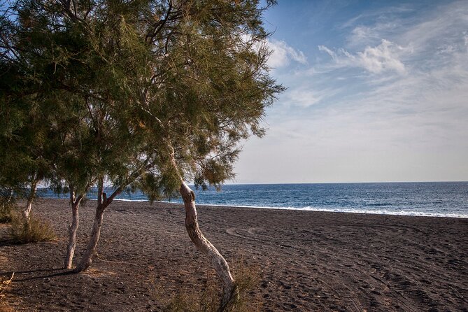 Private Tour: Discover South of Santorini - Wineries, sunset views, and a slower finish
