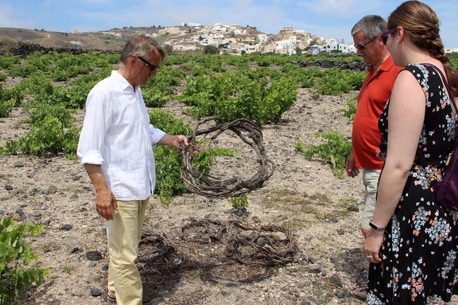 Private Tour: Great Wines and Famous Towns of Santorini - What the private vehicle changes