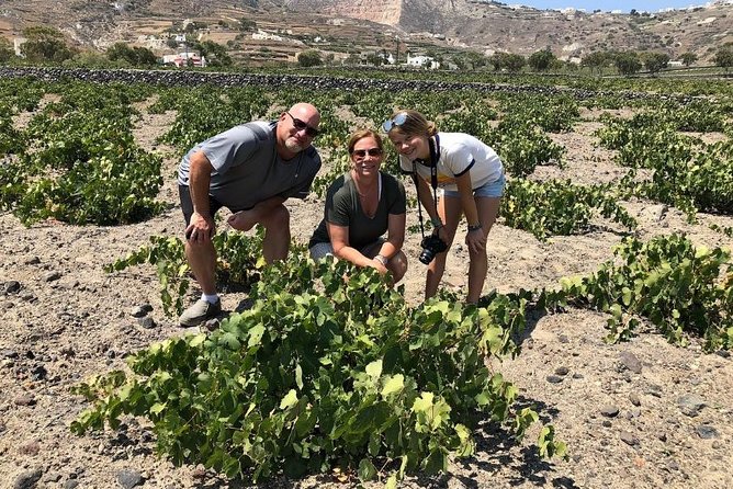 Private Tour: Great Wines and Famous Towns of Santorini - Is $481.65 per person a fair price?