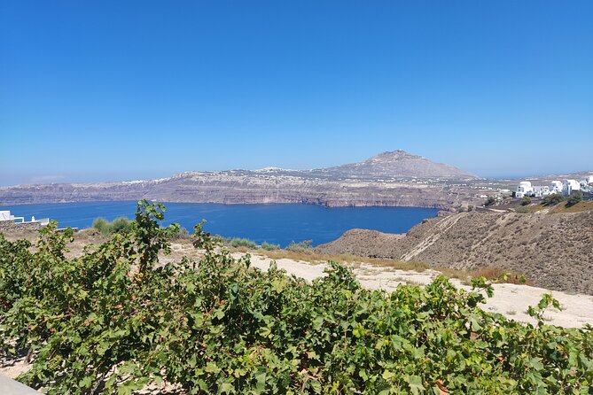 Private Transfer Santorini One-way From/To Airport, Port & Hotel - Who should book this Santorini transfer?