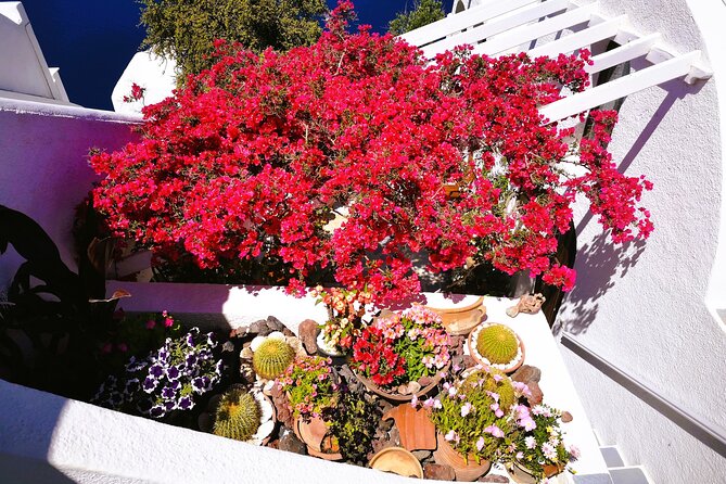 Private Unseen Authentic Santorini Half Day Island Tour - Messaria, a first look at everyday Santorini