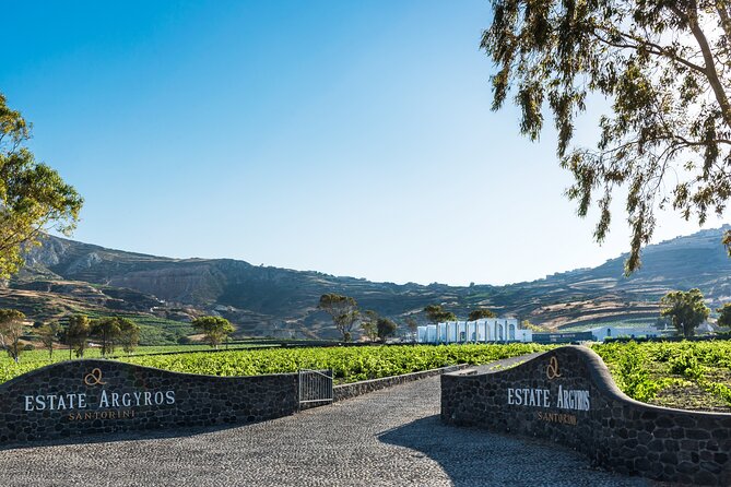 Private Wine Adventure Tour in the Most Distinct Wineries - Santo Wines: caldera views with your first four glasses