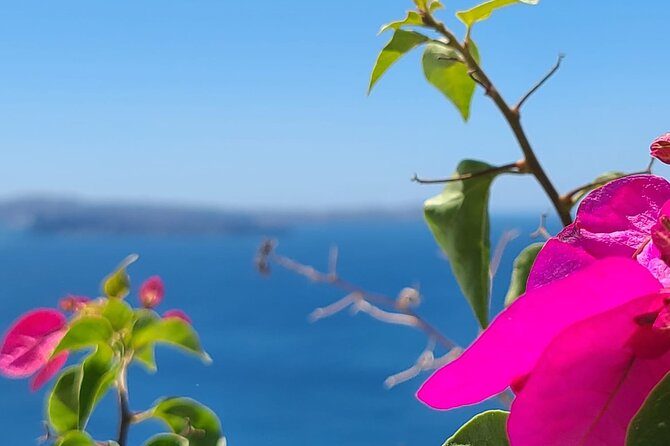 Romantic Tour through Santorini - Fira: shopping and the caldera balcony