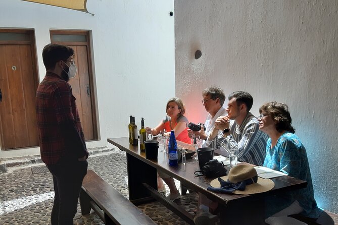 Santorini 3 and half Hour Wine Tour Day/Sunset - The guide can shape the whole experience