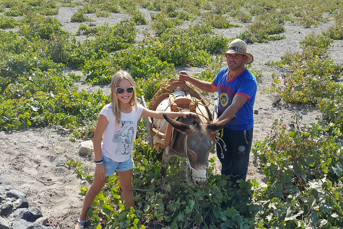 Santorini: 4hr Private Wine Tasting Tour - Views and local context beyond the tasting rooms