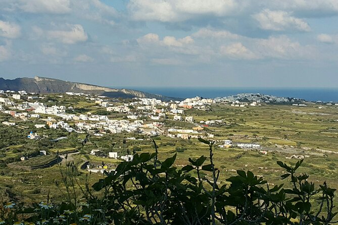Santorini: 4hr Wheelchair Private Accessible Tour - A guide-led day, not a large group excursion