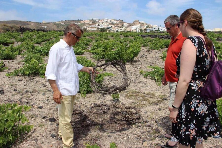 Santorini: 5-Hour Private Wine Tour - What the $353 price means