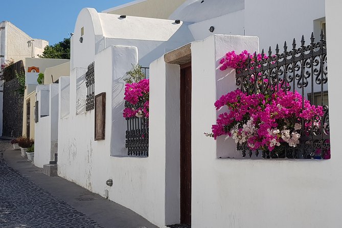 Santorini: 6hr Small Group Shore Excursion Villages & Wine - Anhydrous Winery and Santorini’s dry volcanic wines