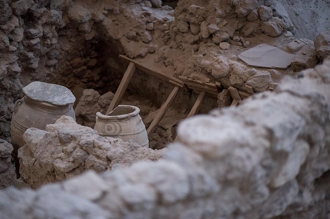 Santorini Archaeology and Wine Small-Group Tour with Tastings - Santorini wine shaped by volcanic soil