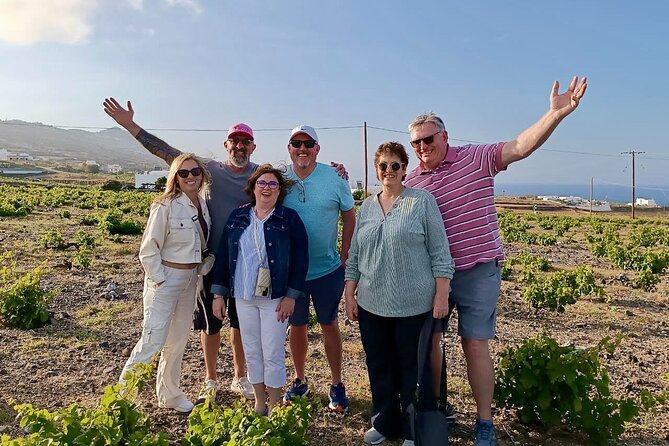 Santorini Cable Car-Free & Stress-Free Private Island Tour - Is $301.03 per person good value?