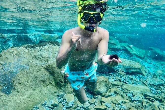 Santorini Caldera Day Traditional Cruise with Meal and Drinks - Swimming, snorkeling, and the hot springs question