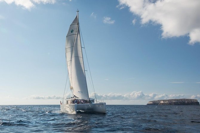 Santorini Caldera Sailing Tour with BBQ Lunch and Drinks - Swimming near Palea Kameni and Nea Kameni