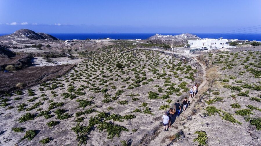 Santorini: Cooking Class and Easy Hike - Is the $182 price fair?