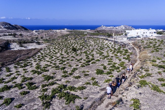 Santorini : Cooking Class & Easy Hike - Mesa Pigadia: swim before lunch