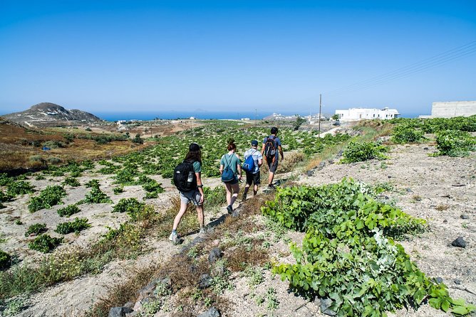 Santorini : Cooking Class & Easy Hike - What to bring and what to expect